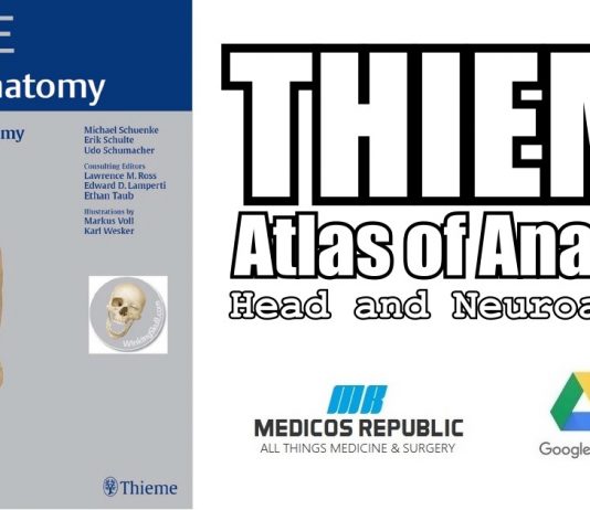 Head and Neuroanatomy (THIEME Atlas of Anatomy) PDF