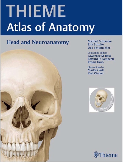 Head and Neuroanatomy (THIEME Atlas of Anatomy) PDF