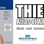 Neck and Internal Organs (THIEME Atlas of Anatomy) PDF