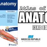 Thieme Atlas of Anatomy 3rd Edition PDF
