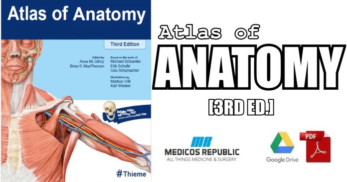 Thieme Atlas of Anatomy 3rd Edition PDF
