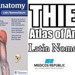 Thieme Atlas of Anatomy Latin Nomenclature PDF