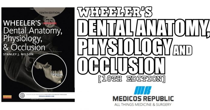 Wheeler's Dental Anatomy, Physiology and Occlusion 10th Edition PDF