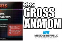 BRS Gross Anatomy 7th Edition PDF