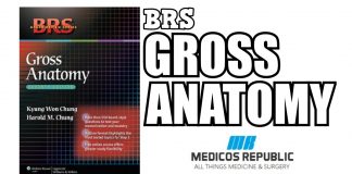 BRS Gross Anatomy 7th Edition PDF