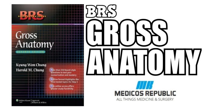 BRS Gross Anatomy 7th Edition PDF