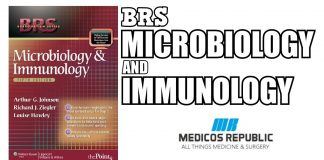 BRS Microbiology and Immunology 5th Edition PDF