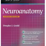 BRS Neuroanatomy 5th Edition PDF