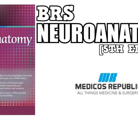BRS Neuroanatomy 5th Edition PDF