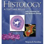 Histology A Text and Atlas With Correlated Cell and Molecular Biology 7th Edition PDF