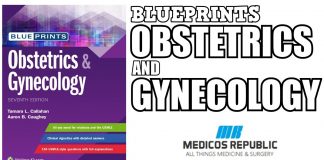 Blueprints Obstetrics & Gynecology 7th Edition PDF