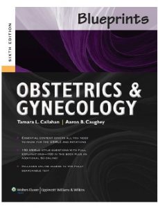 Blueprints Obstetrics and Gynecology 6th Edition PDF