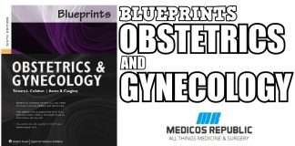 Blueprints Obstetrics and Gynecology 6th Edition PDF