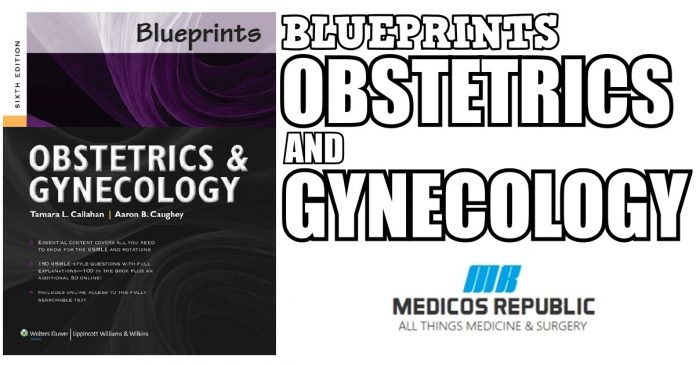 Blueprints Obstetrics and Gynecology 6th Edition PDF