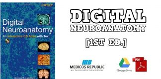 Digital Neuroanatomy 1st Edition PDF