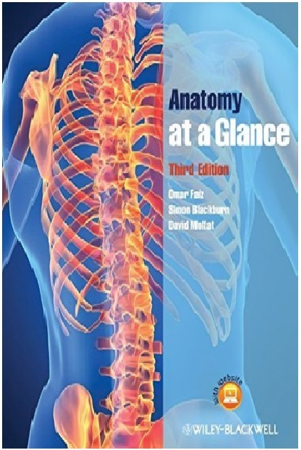 Anatomy At A Glance 3rd Edition PDF 