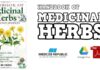 Handbook of Medicinal Herbs 2nd Edition PDF