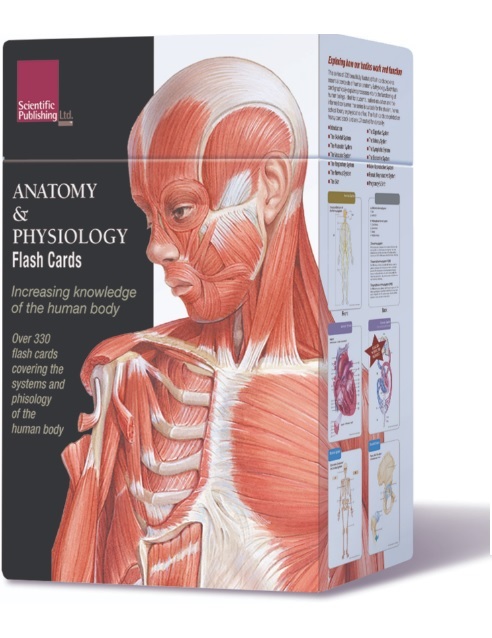 anatomy-and-physiology-flash-cards-free-printable-printable-templates