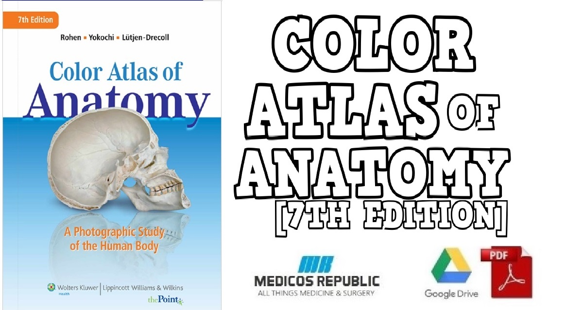 human anatomy atlas online free