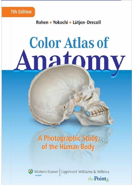 Color Atlas of Anatomy: A Photographic Study of the Human Body 7th Edition PDF 