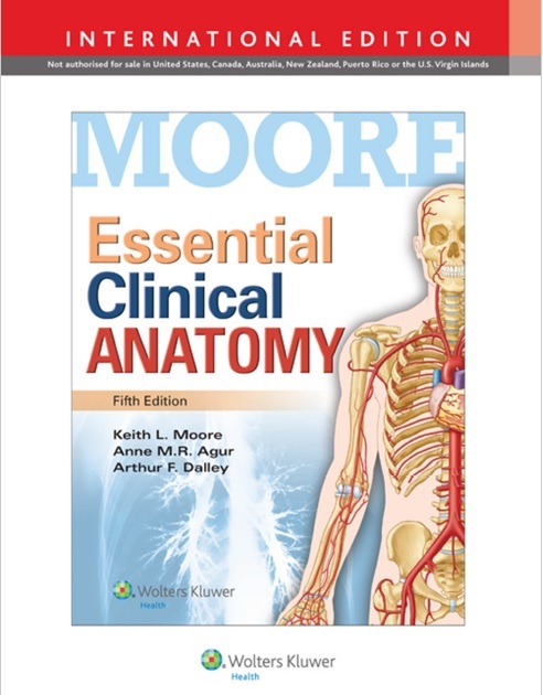 Essential Clinical Anatomy PDF 