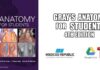 Gray’s Anatomy for Students 4th Edition PDF