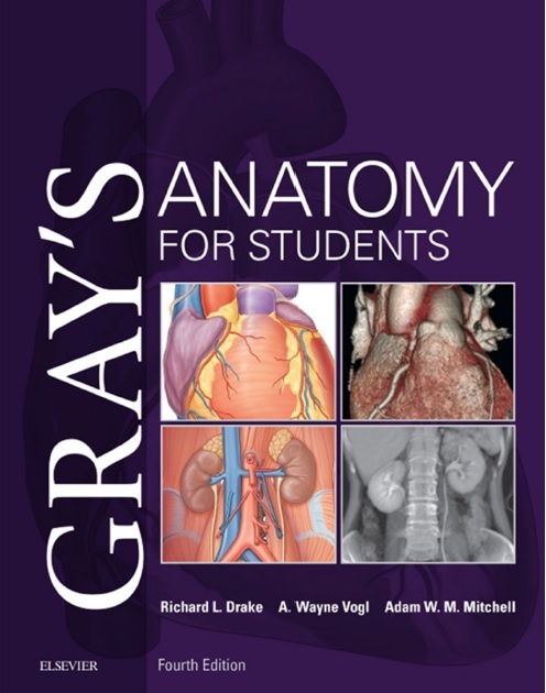 Gray’s Anatomy for Students 4th Edition PDF