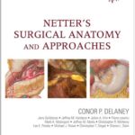 Netter’s Surgical Anatomy and Approaches 1st Edition PDF