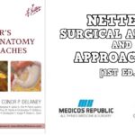 Netter’s Surgical Anatomy and Approaches 1st Edition PDF