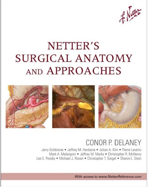 Netter’s Surgical Anatomy and Approaches 1st Edition PDF 