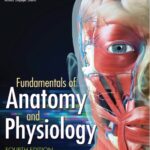 Study Guide for Rizzo’s Fundamentals of Anatomy and Physiology 4th Edition PDF