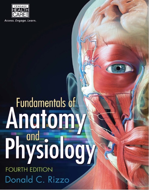 Study Guide for Rizzo’s Fundamentals of Anatomy and Physiology 4th Edition PDF 