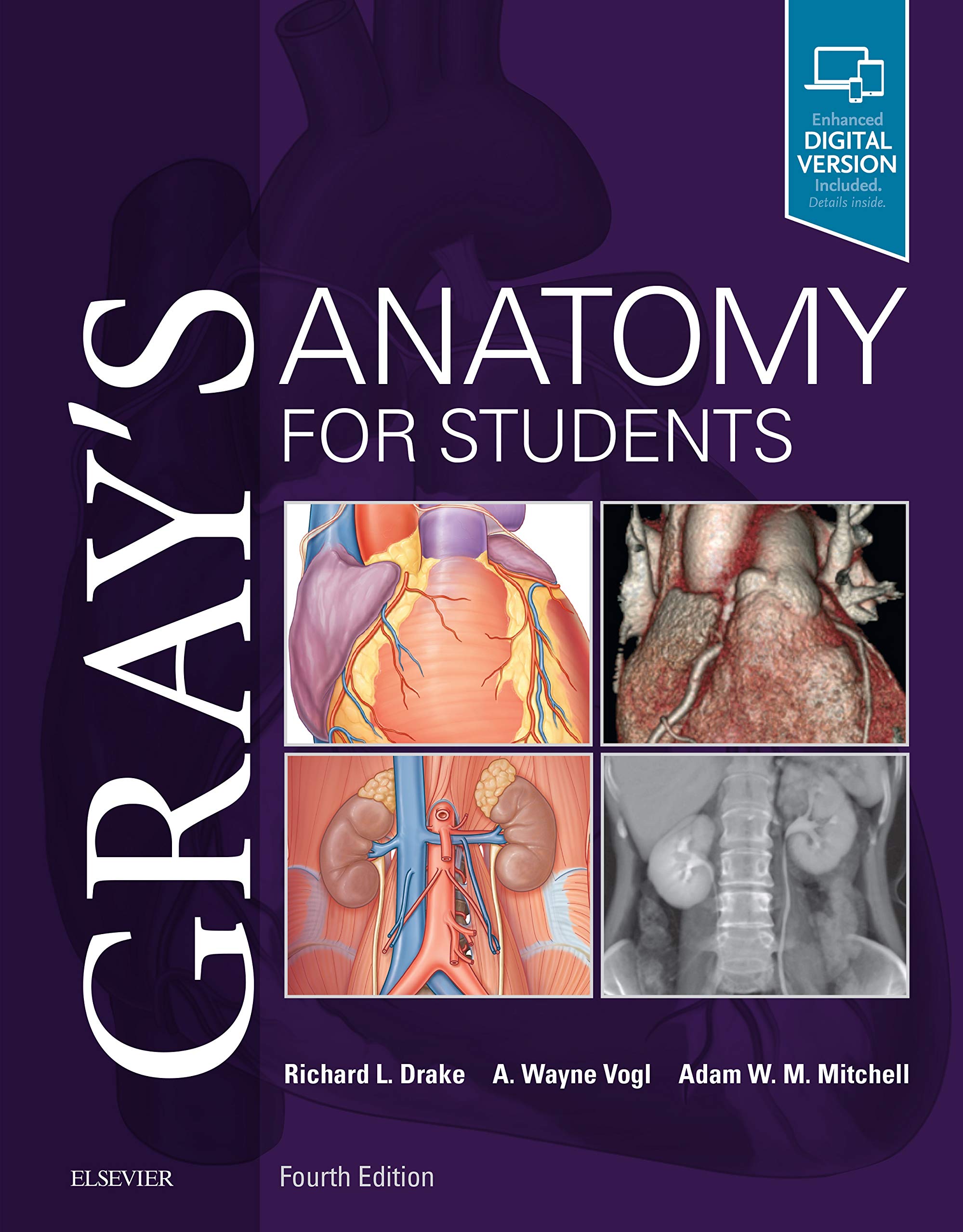 Gray's Anatomy for Students PDF