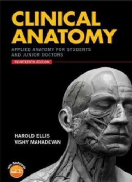 Clinical Anatomy Applied Anatomy for Students and Junior Doctors PDF