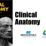 Clinical Anatomy Applied Anatomy for Students and Junior Doctors PDF