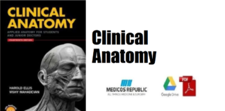 Clinical Anatomy Applied Anatomy for Students and Junior Doctors PDF