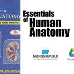 Essentials of Human Anatomy by AK Datta PDF
