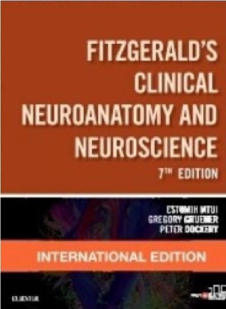 Fitzgerald’s Clinical Neuroanatomy and Neuroscience PDF