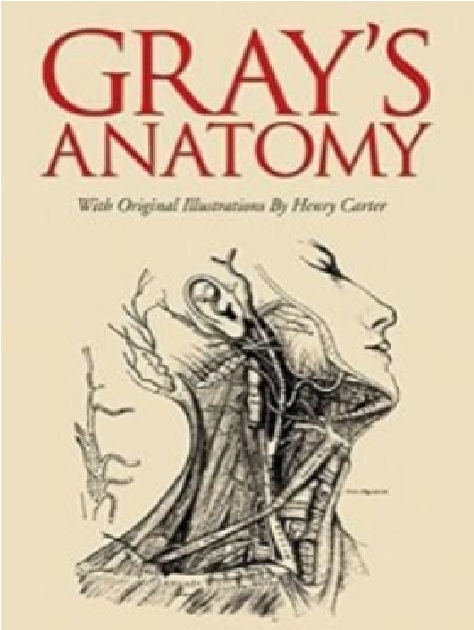Gray’s Anatomy PDF