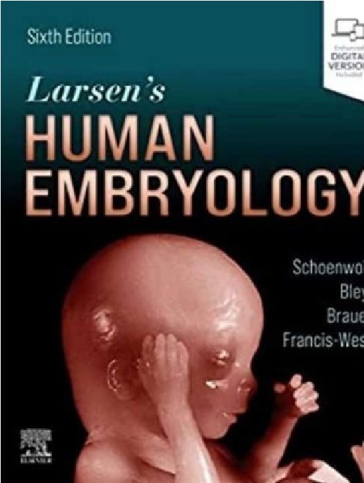 Larsen’s Human Embryology PDF