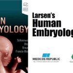 Larsen’s Human Embryology PDF