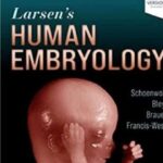 Larsen’s Human Embryology PDF Free Download