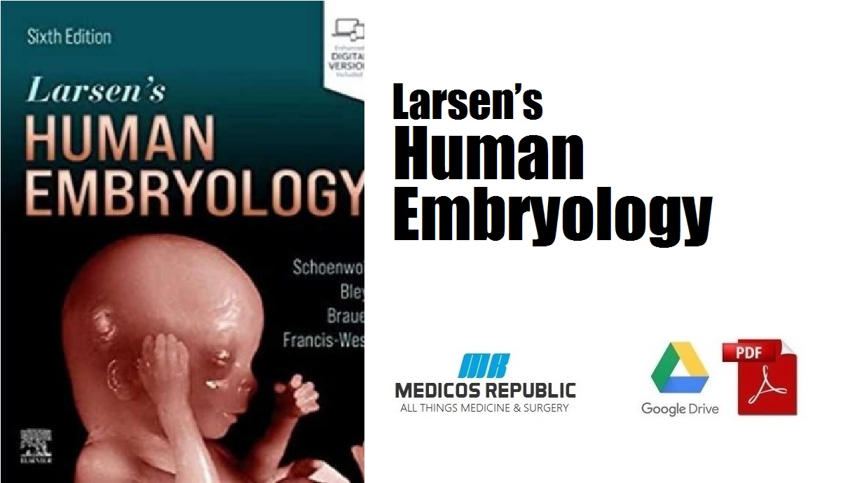 最先端 Larsen's Human Embryology 健康/医学 - www.bridgeguys.com