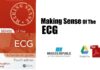 Making Sense of the ECG PDF