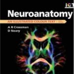 Neuroanatomy An Illustrated Colour Text PDF Free Download