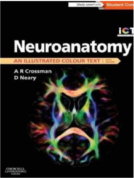 Neuroanatomy An Illustrated Colour Text PDF