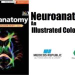 Neuroanatomy An Illustrated Colour Text PDF