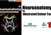 Neuroanatomy An Illustrated Colour Text PDF