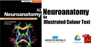 Neuroanatomy An Illustrated Colour Text PDF