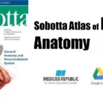 Sobotta Atlas of Human Anatomy PDF